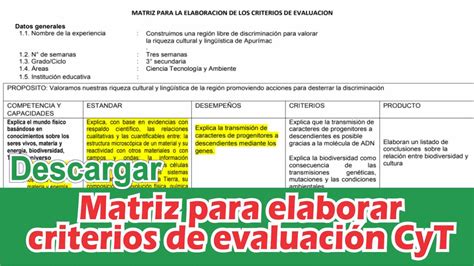 Matriz Para La Elaboración De Criterios De EvaluaciÓn En El área De