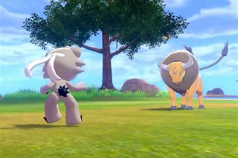 Pokemon Sword And Shield What To Do After Defeating Mustard On The