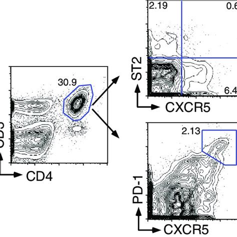 FIG E7 FACS Analysis Of TH2 And Tfh Cells Naive WT BALB C Mice Were