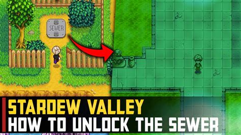 How To Unlock The Sewer Stardew Valley Youtube