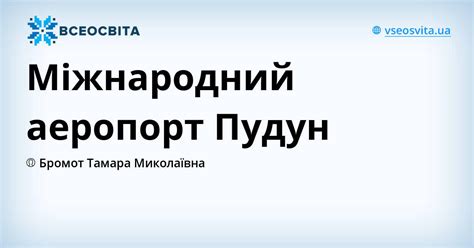 Міжнародний аеропорт Пудун