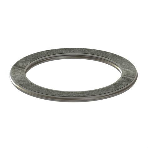 Spiral Wound Gasket Graphite Filler