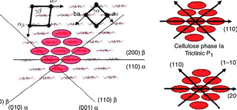 Schematic representation of the crystalline arrangement of cellulose Iα