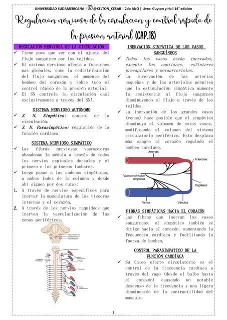 Regulación Nerviosa De La Circulación Y Control Rápido De La Presión Arterial Kelton César Udocz