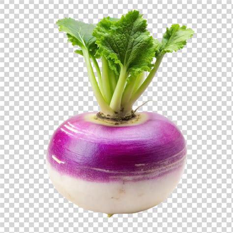 Premium Psd Purple And White Turnip Isolated On Transparent Background