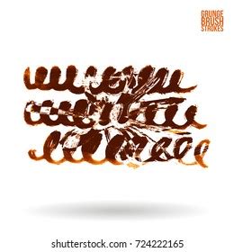 Structure Mature Seed Cone Pine Section Stock Vector Royalty Free