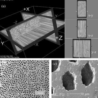 Fabrication process flow of anisotropic ceramic material. | Download ...