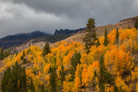 Never Better – Sonora Pass – California Fall Color