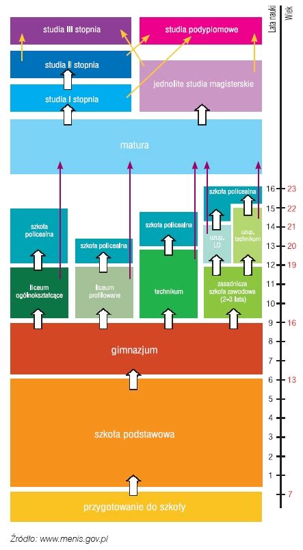 System Edukacji W Polsce Brainly Pl