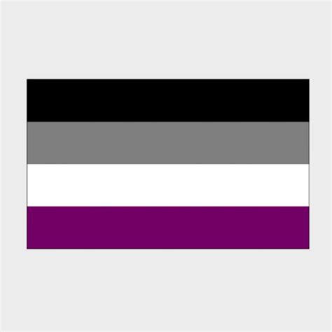 Polyester Flag 3x5 Asexual Humanity Hillcrest Lifestyle Boutique