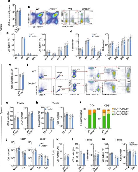 Lrrc C Mice Have Normal T Cell Development A D Cell Numbers And