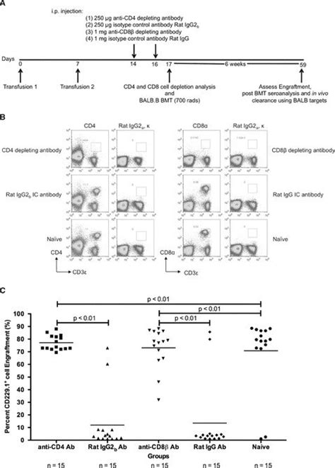 Depletion Of Cd4 Or Cd8 Cells Prevents Rejection Of A Balbb Bmt In