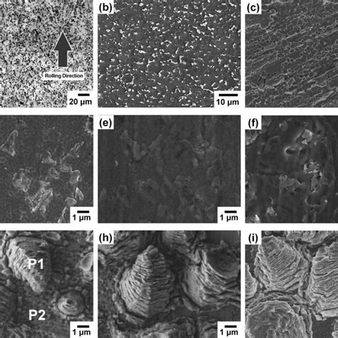 A Optical Micrograph Of The As Received Plates Microstructure B Sem