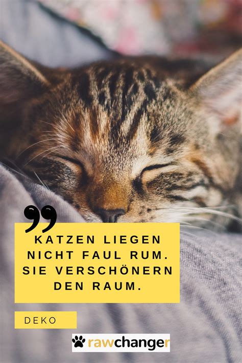 Pin auf Katzen Zitate und Sprüche