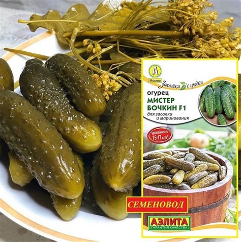 Огурцы Агрофирма Аэлита Огурец._. - купить по выгодным ценам в интернет ...