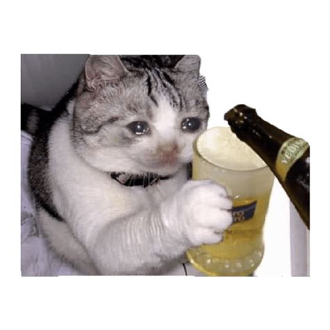 Sad Cat Meme Png Isolated Photo Png Mart