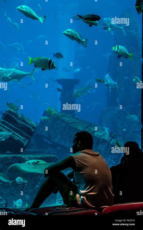 DUBAI, UAE - SEPTEMBER 30: Large aquarium in Hotel Atlantis (1,539 ...