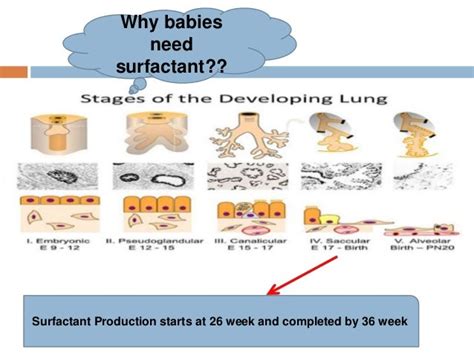 Surfactant in RDS