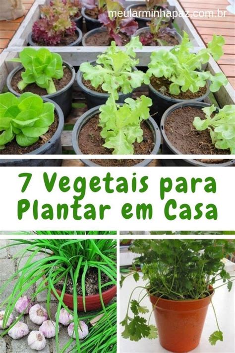 Horta Orgânica Caseira 7 Vegetais que Você pode Plantar em Casa Como