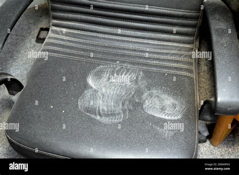 Footwear Impression Shoe Print Left On A Leather Chair Dirty Dusty