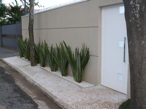 Plantas Para Calçadas De Casas LIBRAIN