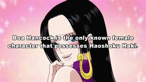 Anime Facts Curators One Piece Facts