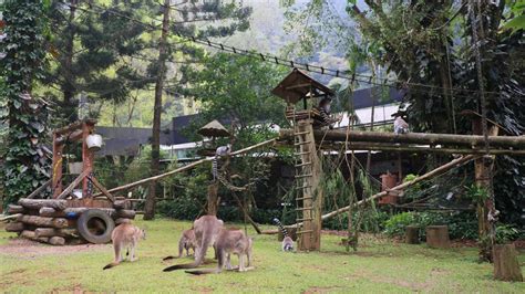 Destinasi Wisata Edukasi Di Bogor Cocok Untuk Liburan Sambil Belajar