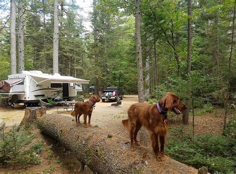 Best Campgrounds In New Hampshire: The Top 7