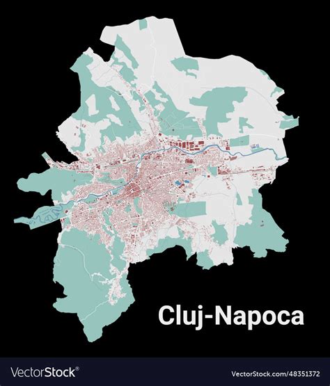 Cluj Napoca Map Administrative Area Royalty Free Vector