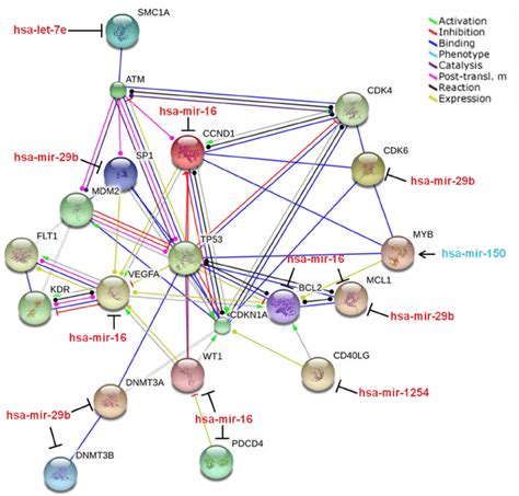 Pathway Analysis Of Proteins Regulated By The 5 Fingerprint MiRNAs