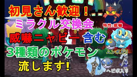 【ポケモン】ミラクル交換会威嚇ニャビー含む3種類のポケモン流します【usum】 Youtube