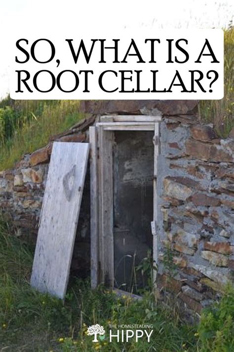 So, What Is a Root Cellar?