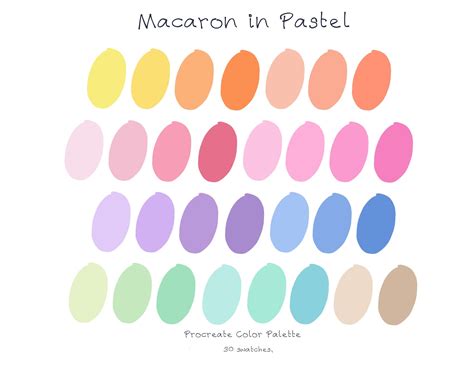 macaron  pastel color palette procreate tool colour  graphic