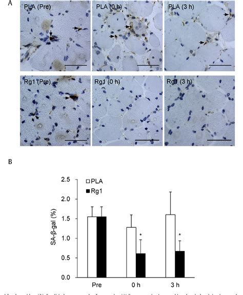 Figure From Ginsenoside Rg Supplementation Clears Senescence