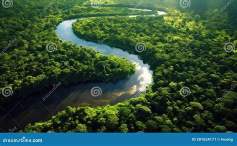 Aerial View of the Amazon Rainforest. Generative AI Stock Illustration ...