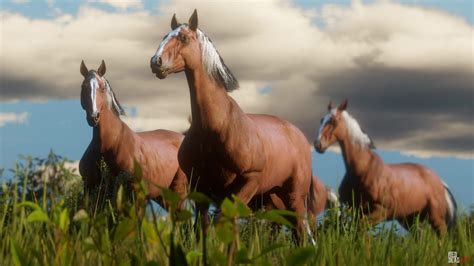 All Horse Breeds in RDR2 & Red Dead Online: Full Guide