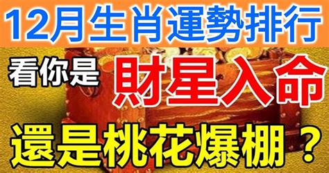 12月生肖運勢排行，看你是財星入命，還是桃花爆棚？ Peekme