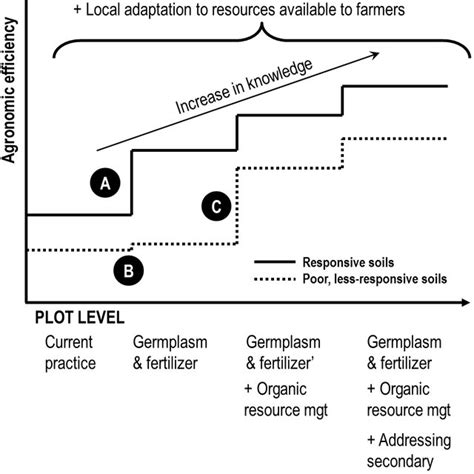 Revised Conceptual Framework Underlying Integrated Soil Fertility