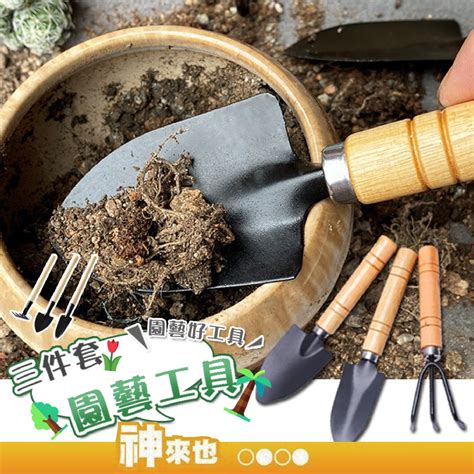 【園藝必備】細柄園藝工具三件套 迷你園藝工具 起苗器 移苗器 種植 鈍化 多肉植物 移盆 園藝 工具 三件套 鏟 Yahoo奇摩拍賣