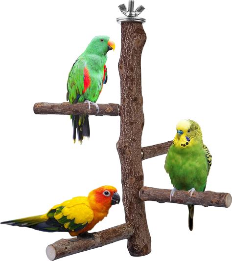 Filhome Bird Perch Stand Toy Natural Wood Parrot Perch Bird Cage