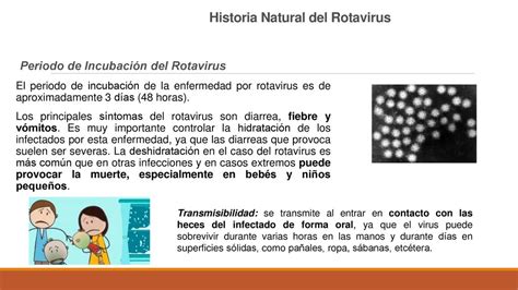 Rotavirus Qué es El rotavirus es una enfermedad infecciosa que causa