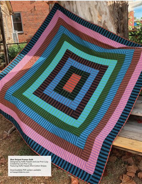 Kaffe Fassett Shot Cotton Striped Frames Quilt Supersized Petting