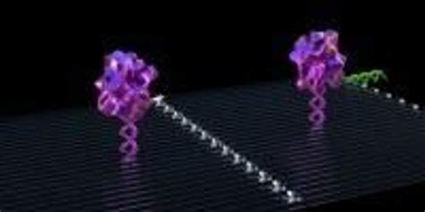 Cancer Fighting Nanorobots Programmed To Seek And Destroy Tumors Lab