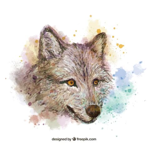 Premium Vector Portrait Of A Wolf Head From A Splash Of Watercolor