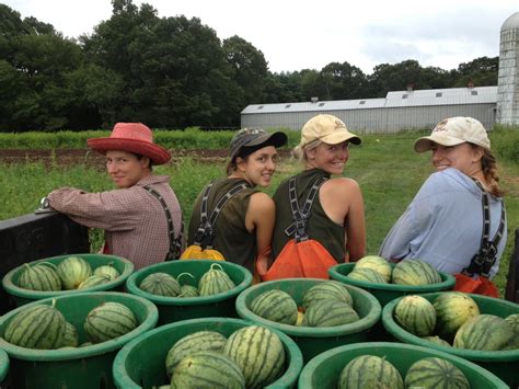 Powisset Farm CSA: Listen to the Melons.