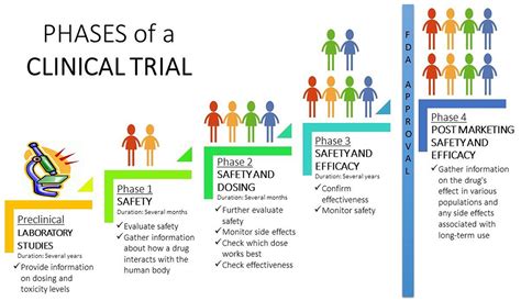 Clinical Research Stony Brook Medicine