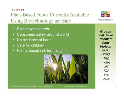 The Role Of Biotechnology In Our Food Supply