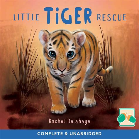 Little Tiger Rescue Uk Delahaye Rachel Keeley Helen 9781399103084 Books