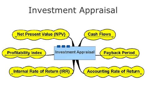 Investment Appraisal Techniques Sample Dissertations