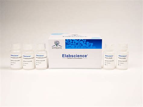 intracellular fixationpermeabilization buffer kit elabscience